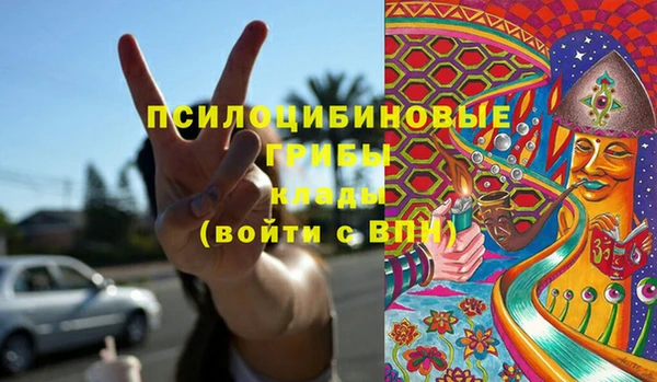 эйфоретик Алзамай