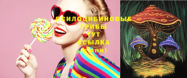 прущие крисы Алексеевка