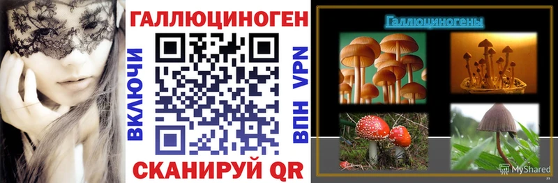 Псилоцибиновые грибы MAGIC MUSHROOMS  Купить  Петров Вал 